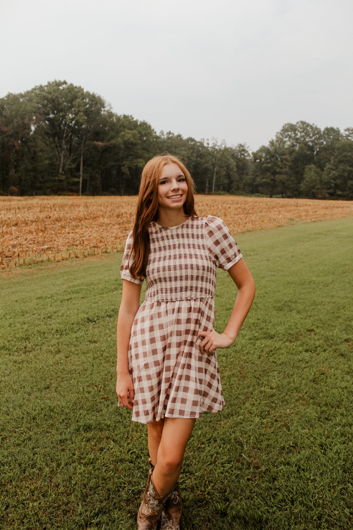 Hometown Honey Brown Gingham Dress